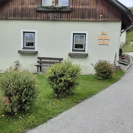 Hausveronika * Mariapfarr