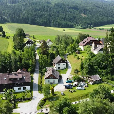 Hausveronika